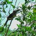 Mexico & Guatemala 2010 - 1119